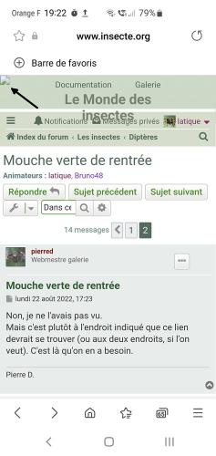 Indéterminé